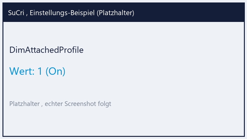 DimAttachedProfile: Value 1 (Platzhalter)